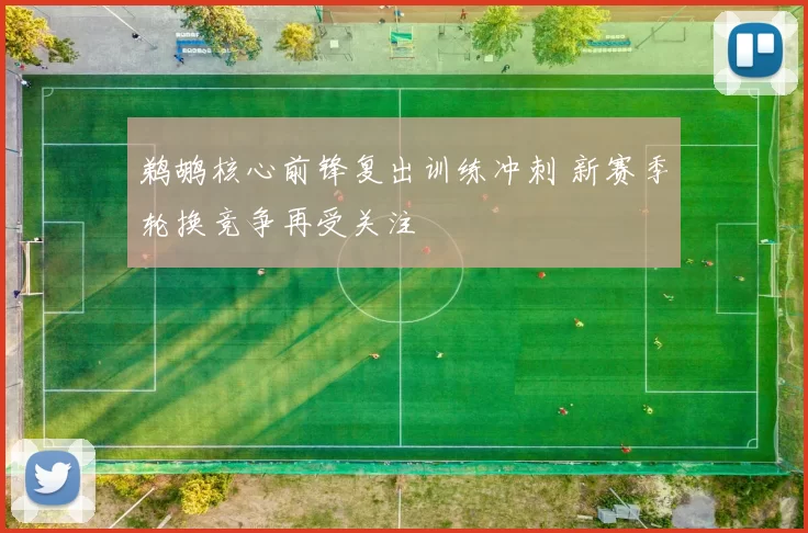 鹈鹕核心前锋复出训练冲刺 新赛季轮换竞争再受关注